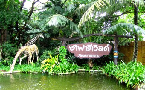 باغ وحش و پارک سافاری ورلد بانکوک